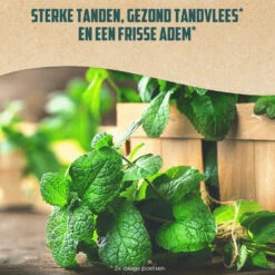 12x Aquafresh Naturals Mint Clean 7 12x Aquafresh Naturals Mint Clean -L'Oreal Winkel 1052131 4