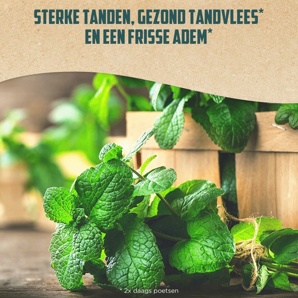 12x Aquafresh Naturals Mint Clean 4 12x Aquafresh Naturals Mint Clean - Afbeelding 4