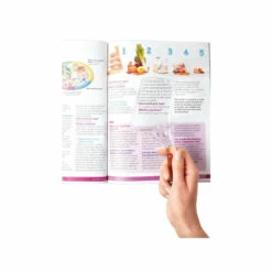 Vitility Vergrootglas Angular -L'Oreal Winkel 989872 3